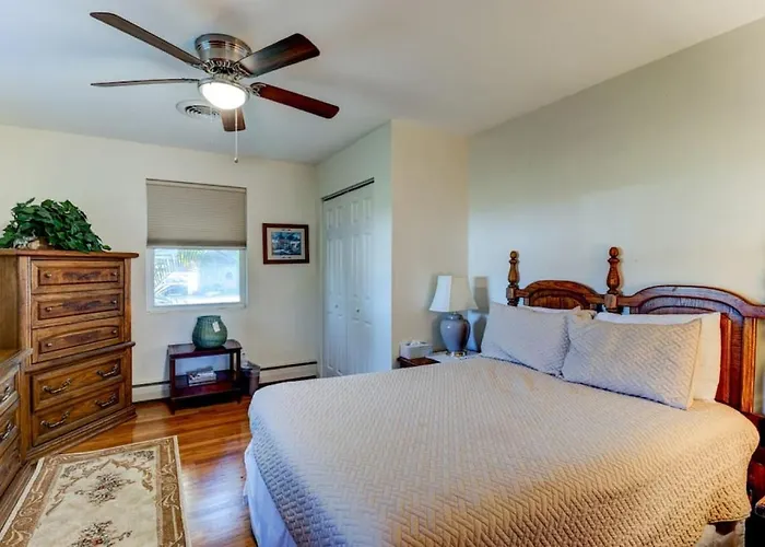 The Good Ole Days King Bed Pet Friendly